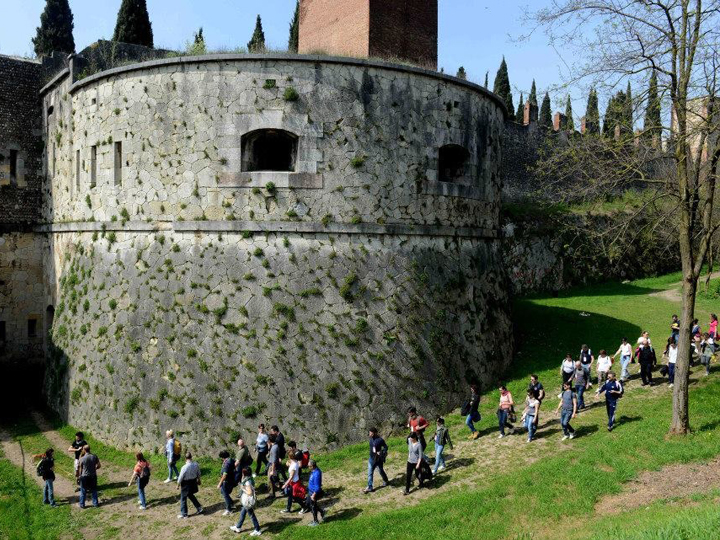 Muralonga verona