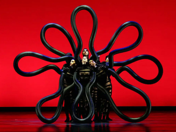 Momix | Botanica Season 2