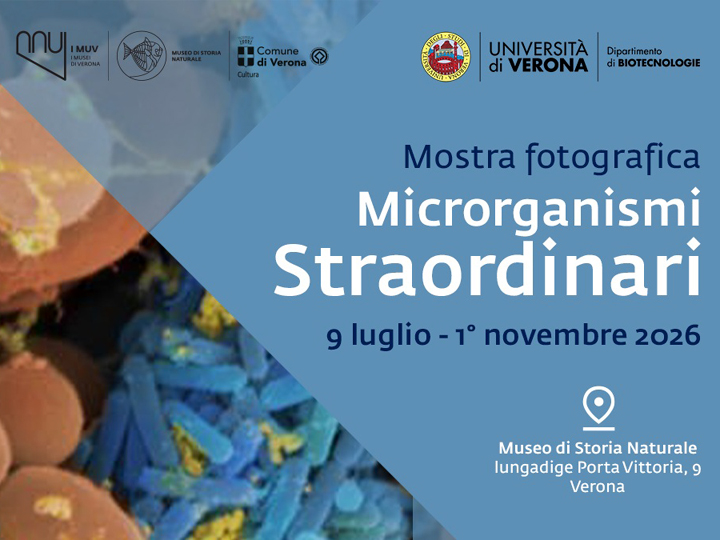 Microrganismi Straordinari