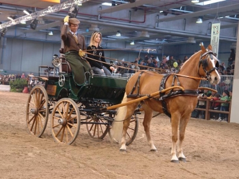 FIERACAVALLI verona