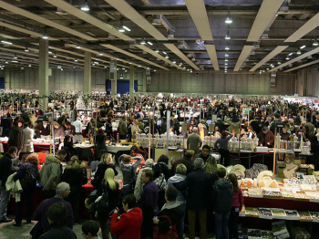 fiera VERONA MINERAL SHOW