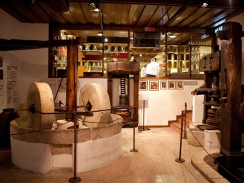 CISANO | museo dell'olio |