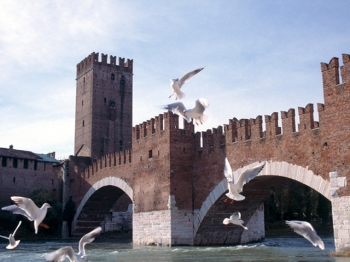 PONTE SCALIGERO verona