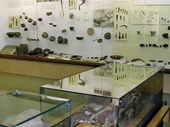 MUSEO DI STORIA NATURALE verona