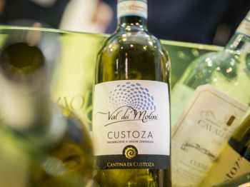 VINO BIANCO DI CUSTOZA