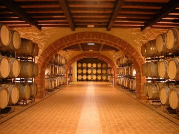 Cantina in VALPOLICELLA