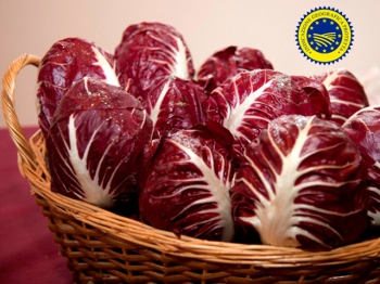 RADICCHIO ROSSO DI VERONA IGP